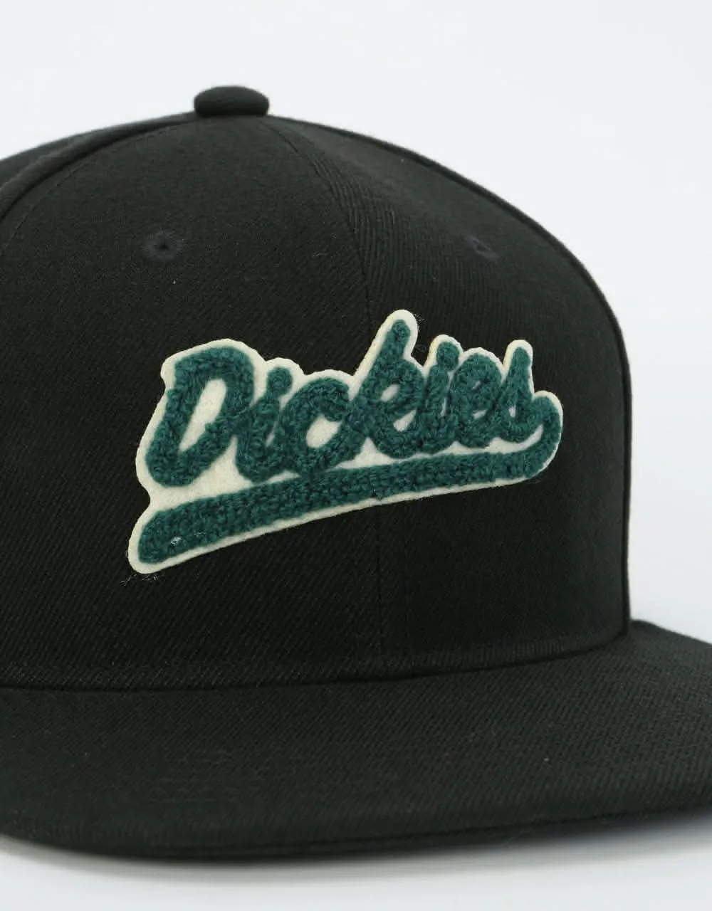 Dickies Payneville Snapback Cap - Black