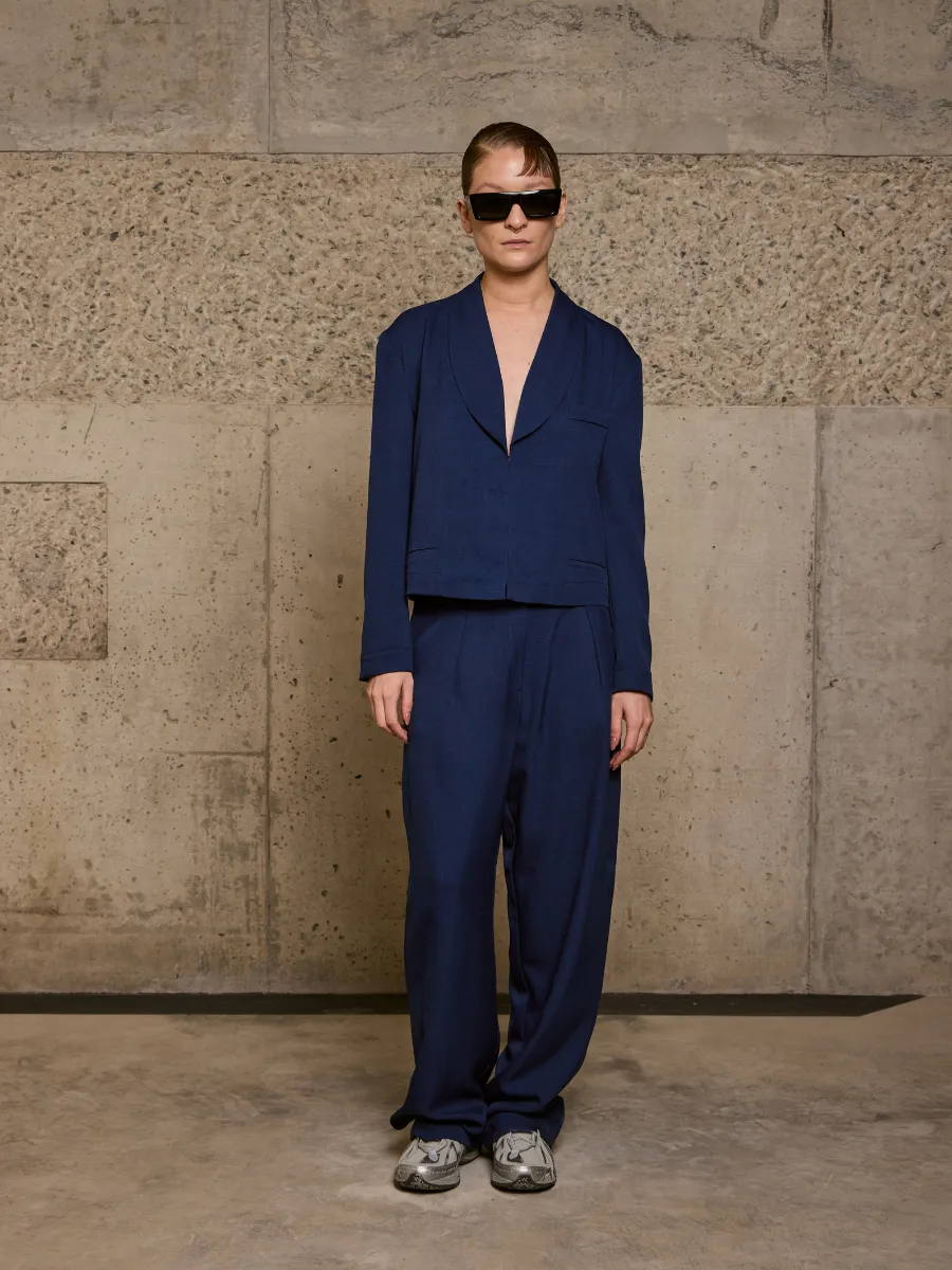 Pleated Pants - Blue